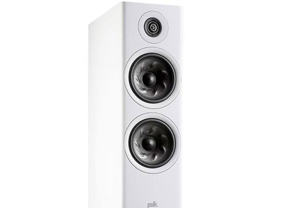  Polk Audio Reserve R600 - cecha 1